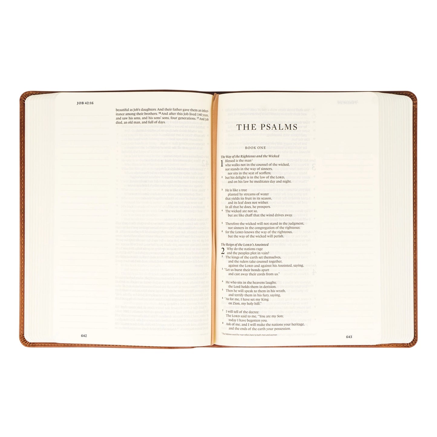 ESV Large Print Journaling Bible: Sierra Theme