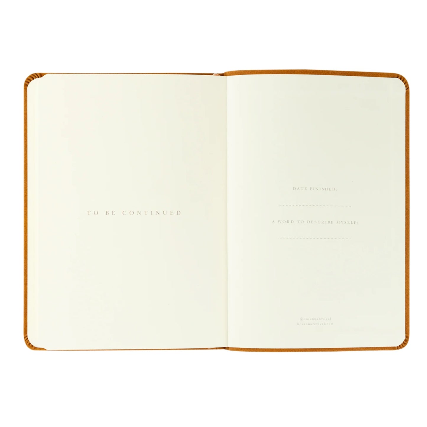 Notebook: Amelia Theme