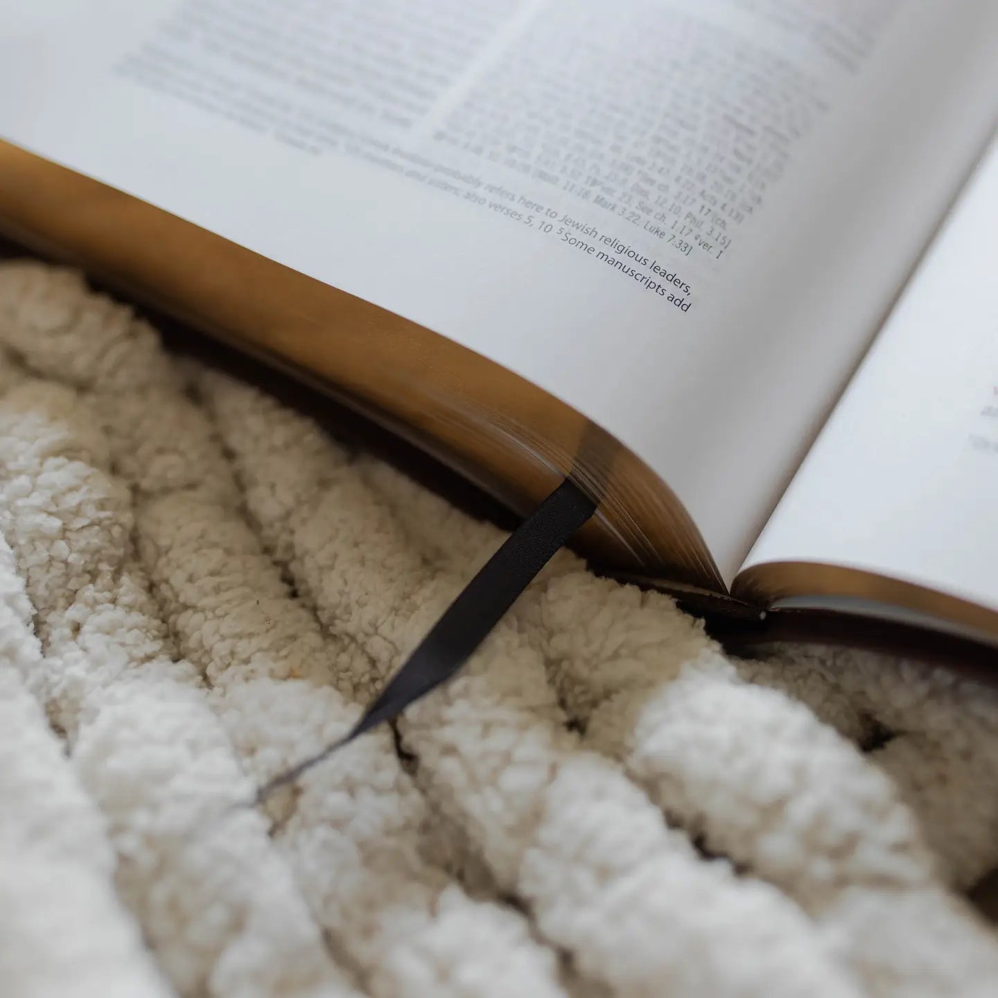 ESV Wide Margin Reference Bible: Forever