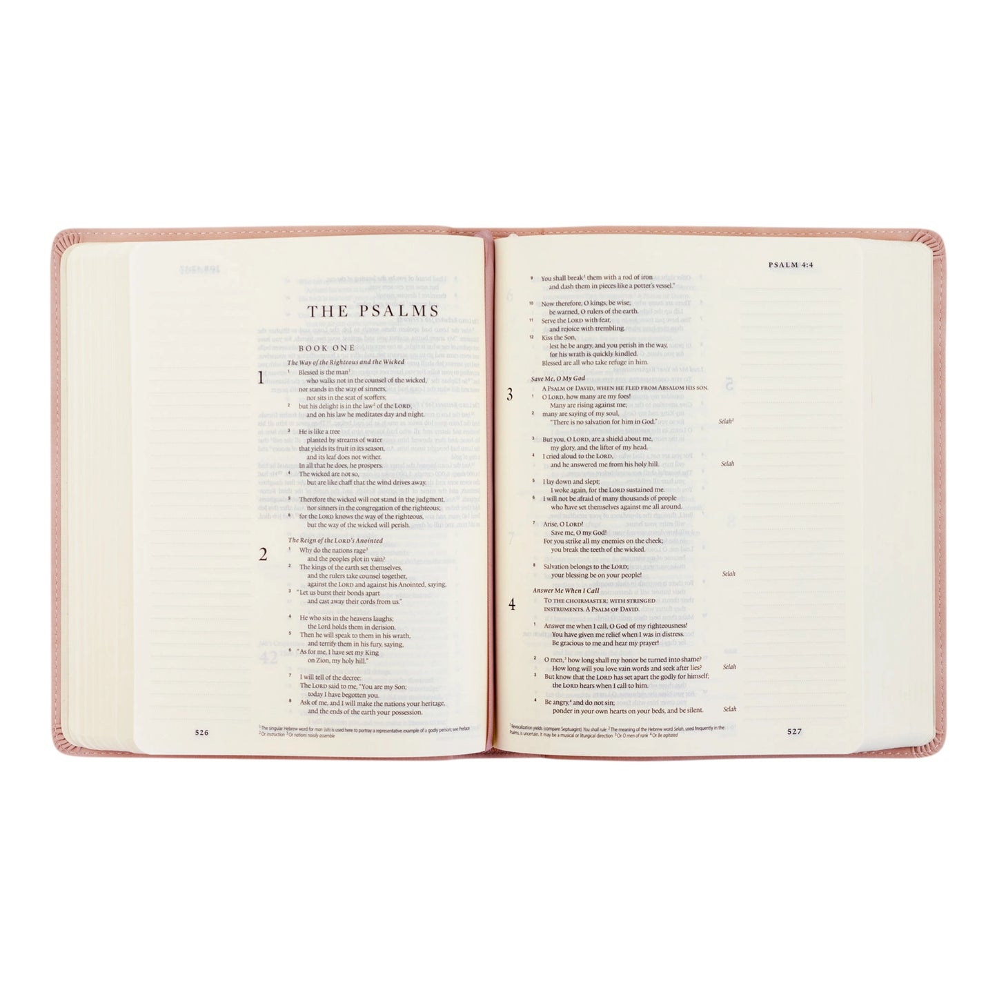 NLT Journaling Bible: Shiloh Theme