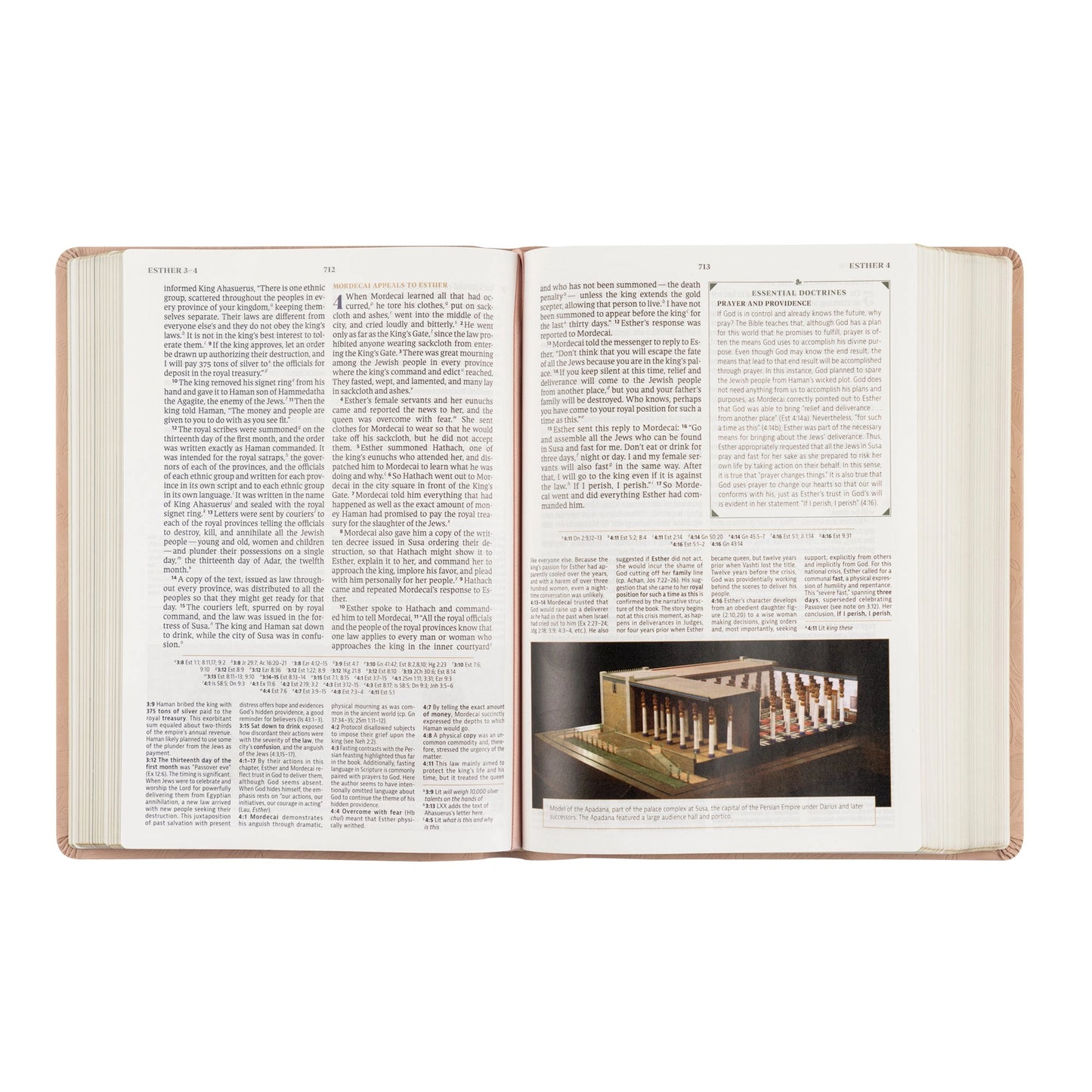 CSB Women's Study Bible: Sonora Theme (PINK)