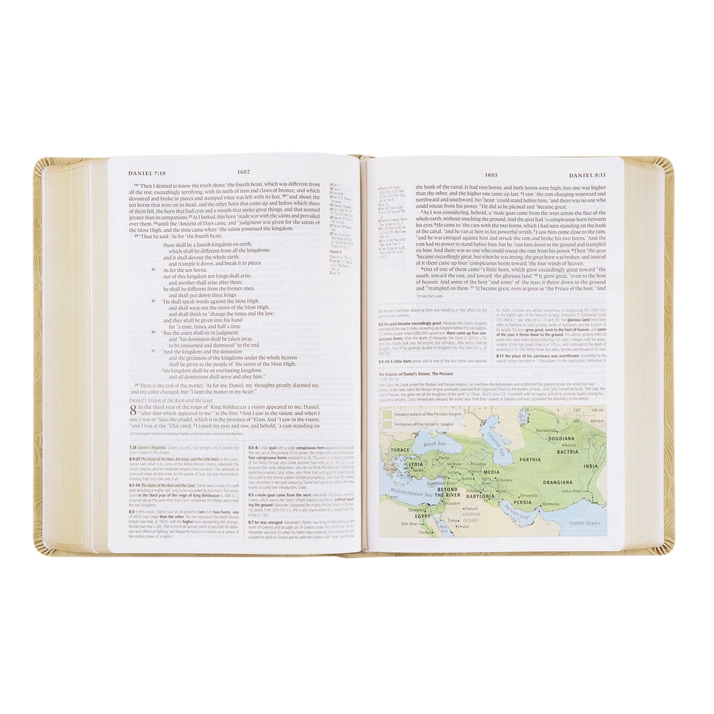 ESV Women's Study Bible: Sonora Theme (CREAM)
