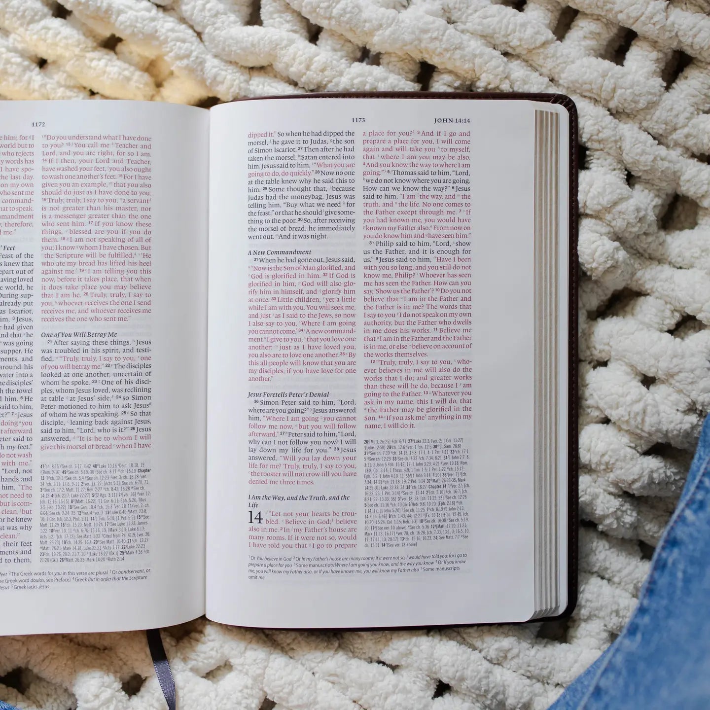 ESV Wide Margin Reference Bible: Forever