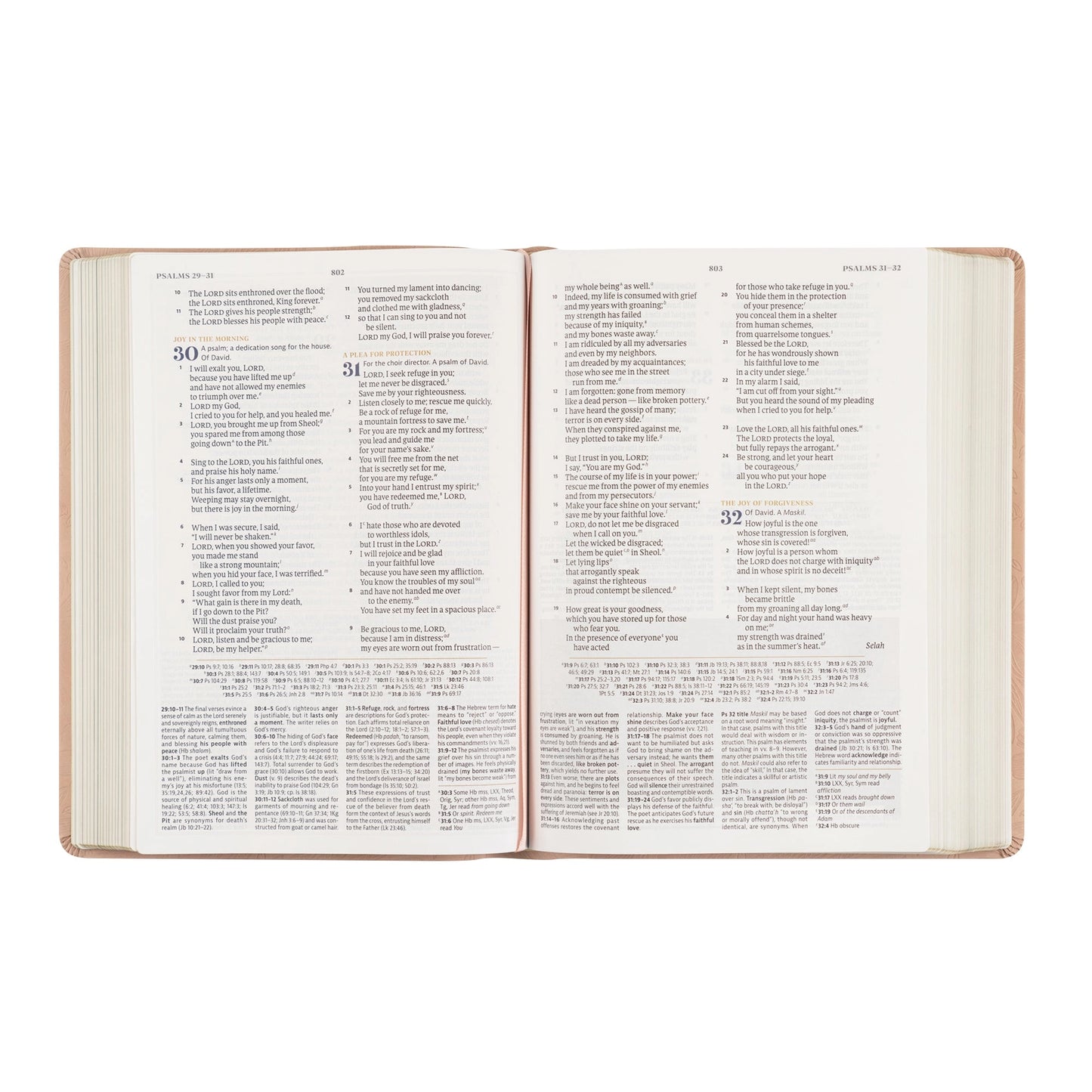 CSB Women's Study Bible: Sonora Theme (PINK)