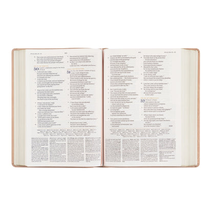 CSB Women's Study Bible: Sonora Theme (PINK)