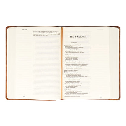 ESV Large Print Journaling Bible: Sierra Theme