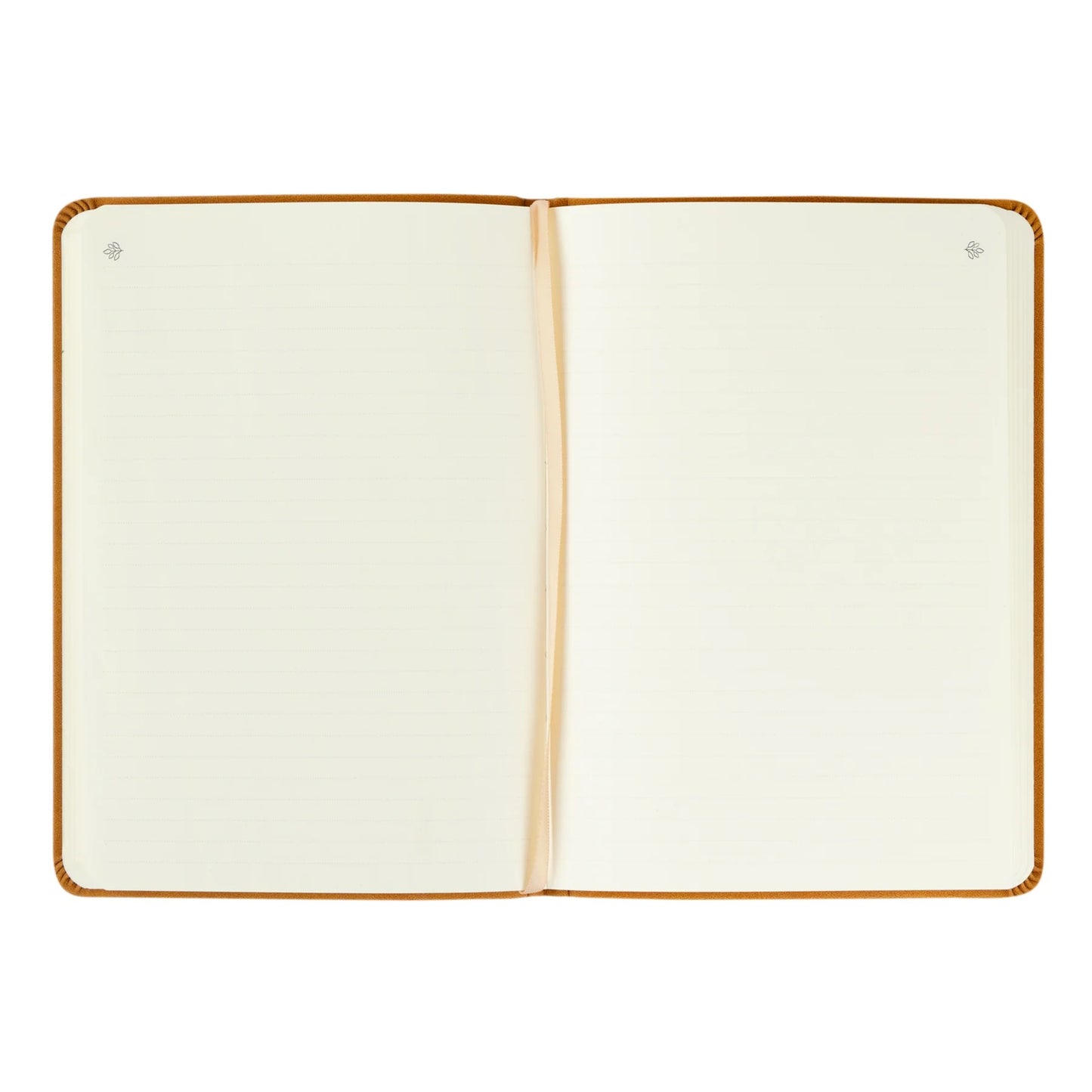 Notebook: Amelia Theme
