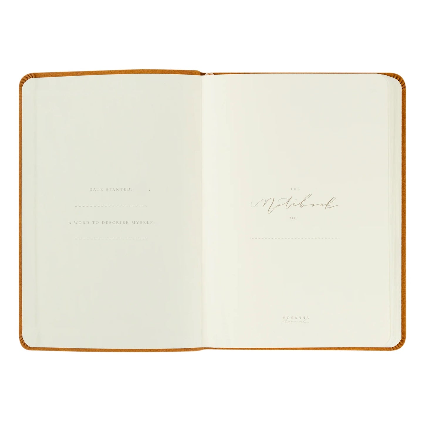 Notebook: Amelia Theme