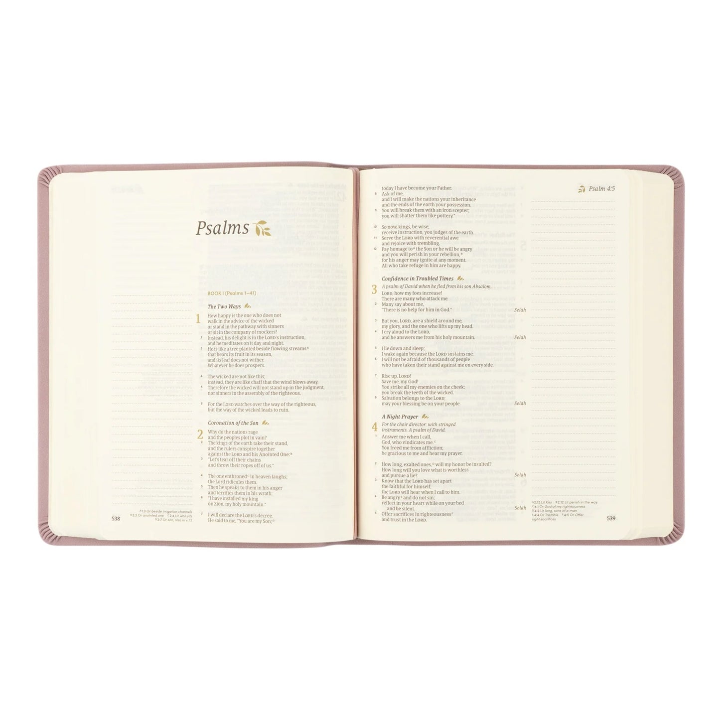 CSB Notetaking Bible: Mauves Theme