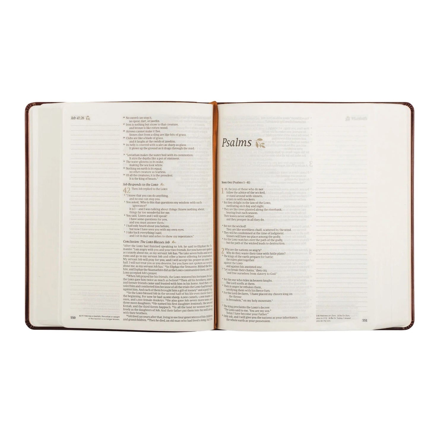 NLT Notetaking Bible: Santa Elena Theme
