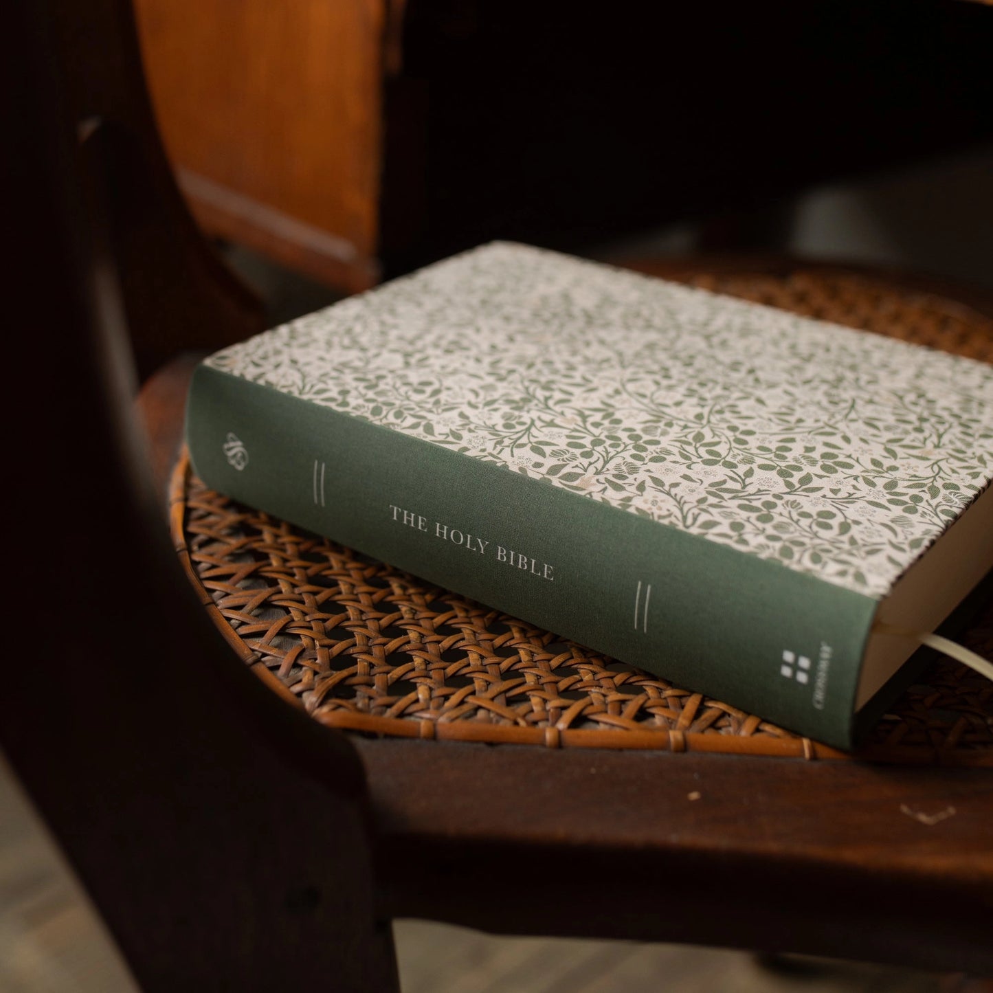 ESV Single Column Journaling Bible: Clover