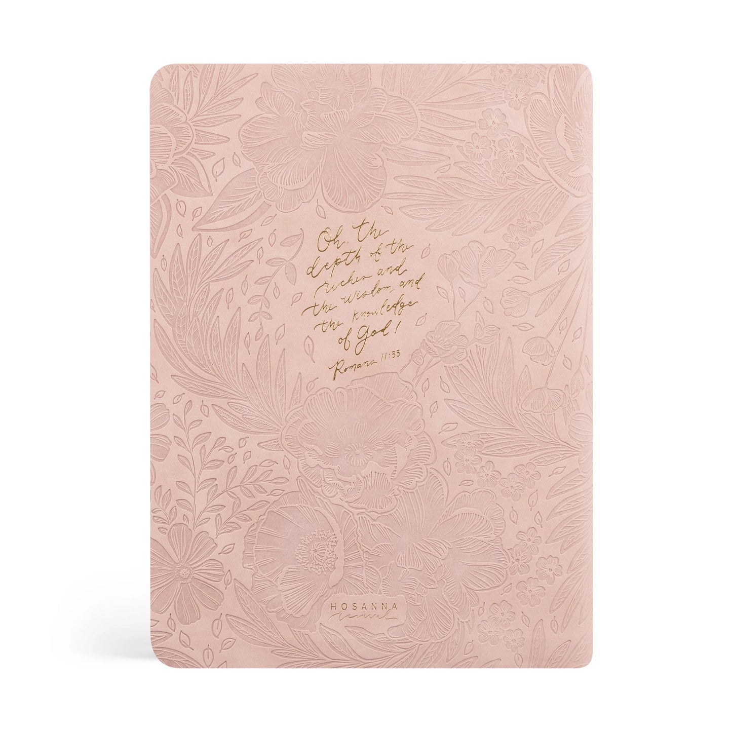 CSB Women's Study Bible: Sonora Theme (PINK)