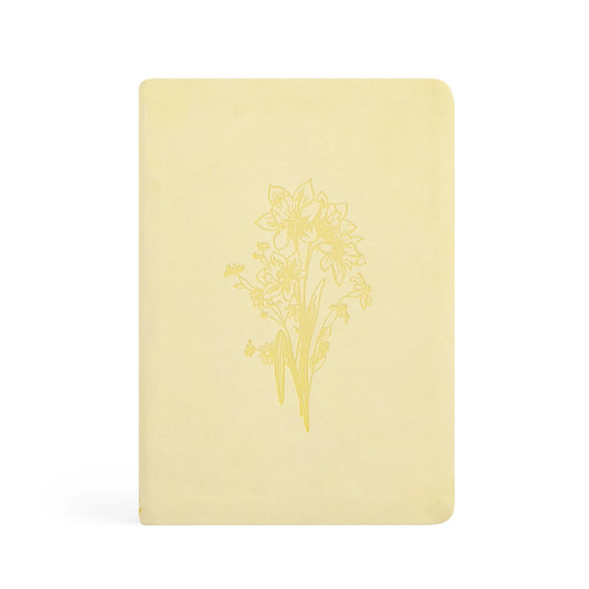 Notebook: Blefast Theme