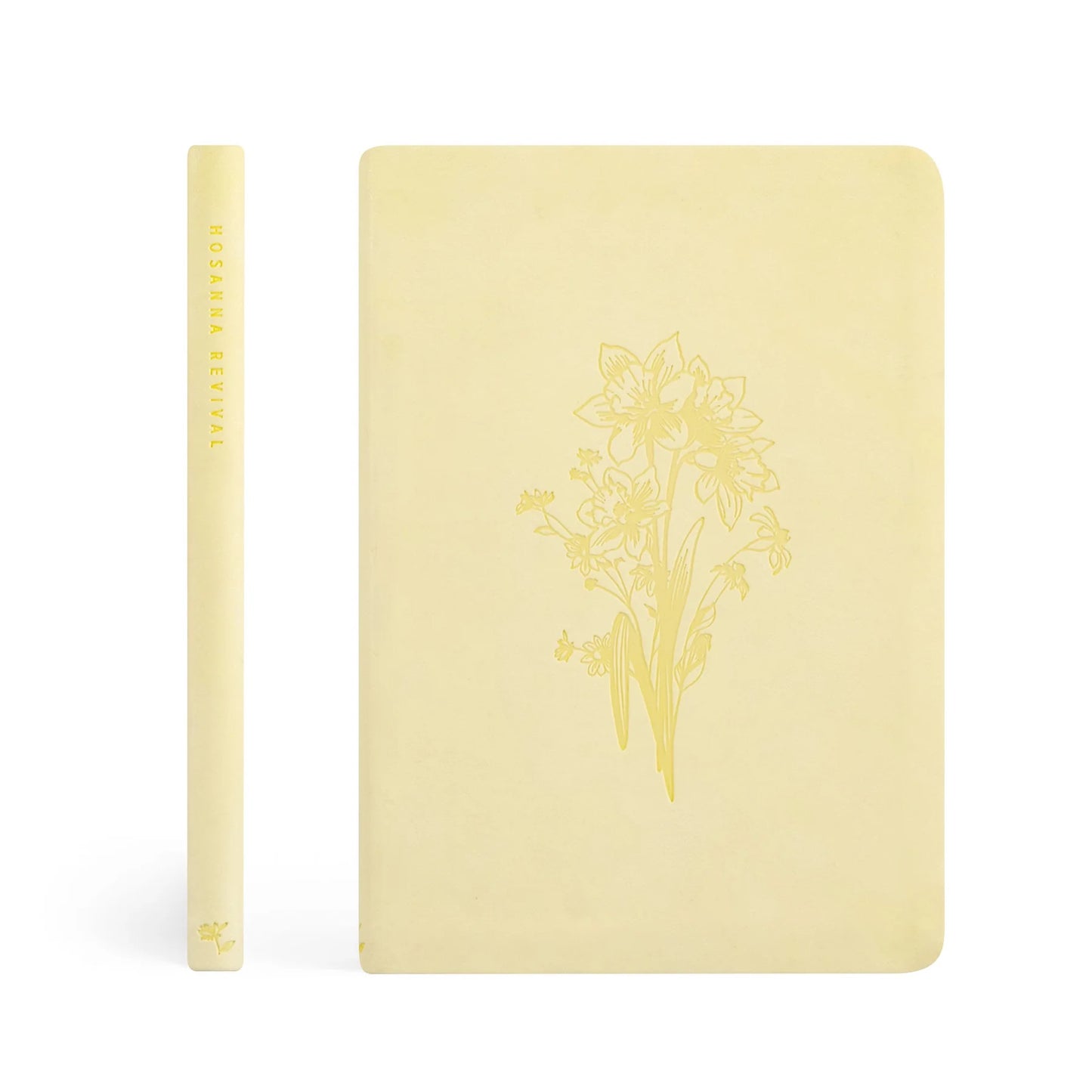 Notebook: Blefast Theme