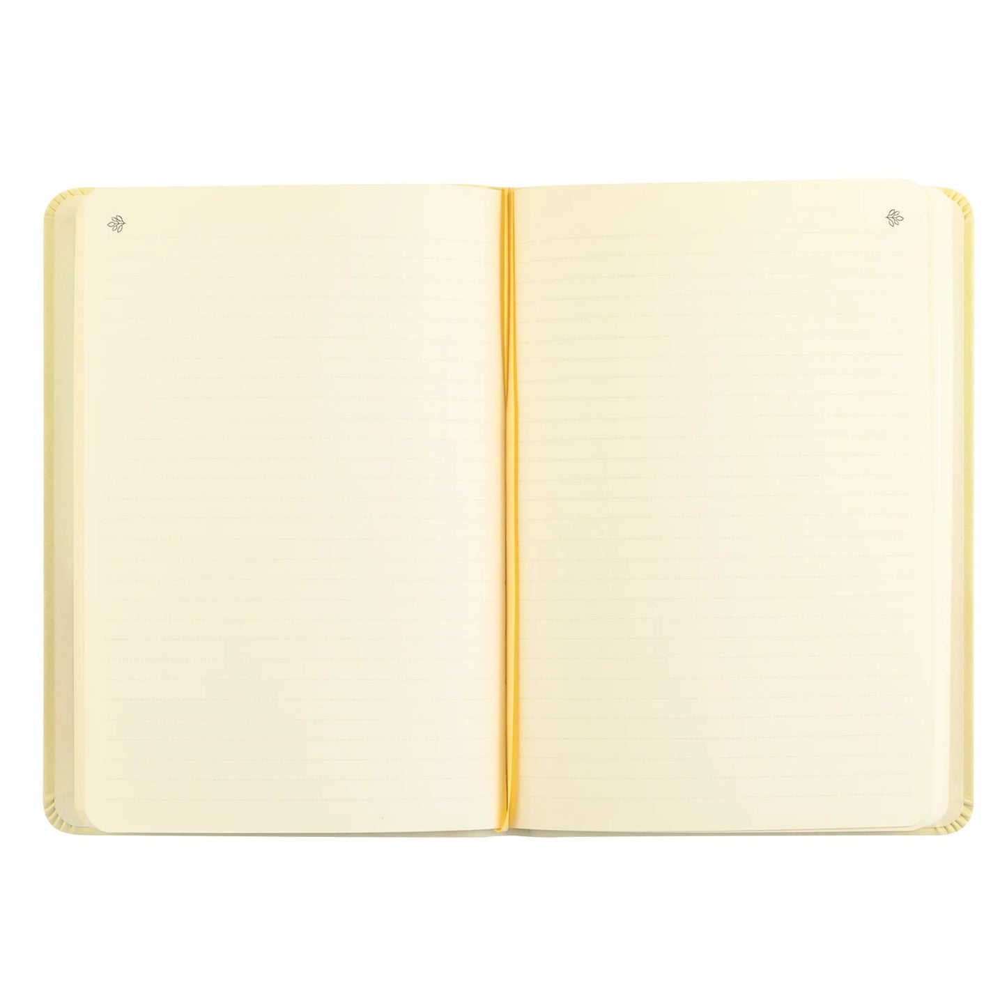 Notebook: Blefast Theme