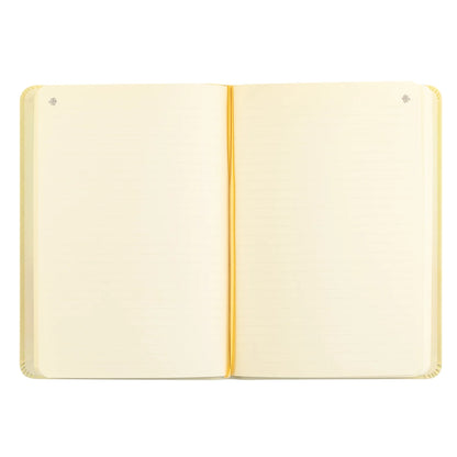Notebook: Blefast Theme