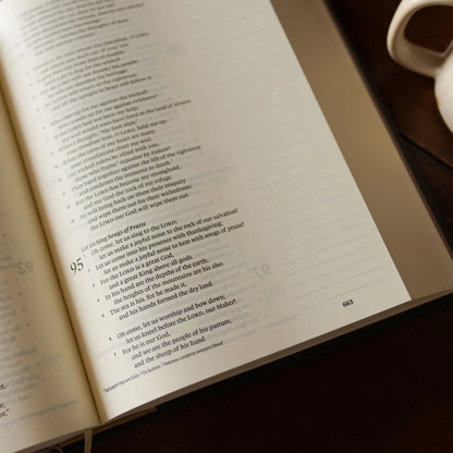ESV Single Column Journaling Bible: Clover